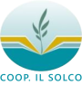 Il Solco